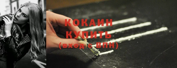 крисы Лагань