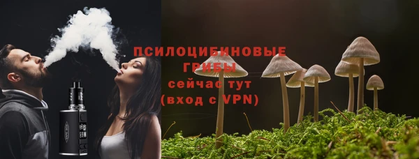 крисы Лагань