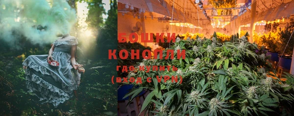 крисы Лагань
