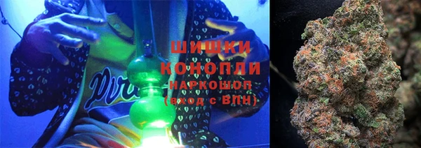 крисы Лагань