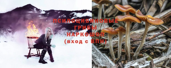прущая мука Лабытнанги