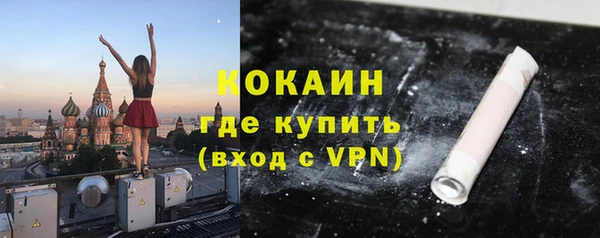крисы Лагань