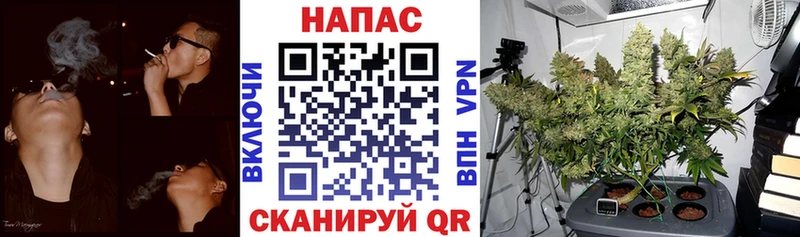 Каннабис гибрид  Купить закладки  Няндома 